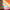 フィーリンググッド F2F ペーパー １２枚 ペーパー関連 Album Life