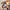 タイムレス ティディングス マットパック ペーパー関連 Album Life